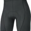Gore C3 Liner Short Tights+ Fietsonderbroek Dames